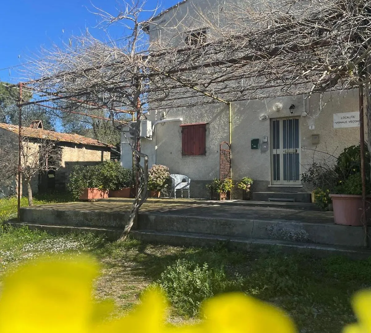 Virgy'S House Διαμέρισμα Vignale